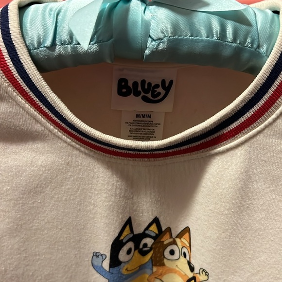 WINTER SALE Bluey sweatshirt - Picture 2 of 3